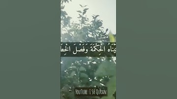 من الصوت القارئ الجميل  سعيد محمد نور