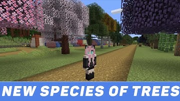 Dynamic Trees - Biomes O