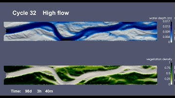 Numerical modelling of the morphodynamic evolution of a vegetated braided river