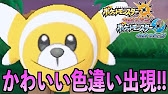 神回 朝方に色出現 長かった色キテルグマ ポケモンusm Youtube