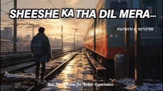 Sheese ka tha dil mera song Slowed & Reverb #lofi