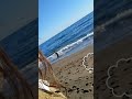 شافونا اتنين قالوا ياعين شافونا اتنين قالوا ياعين