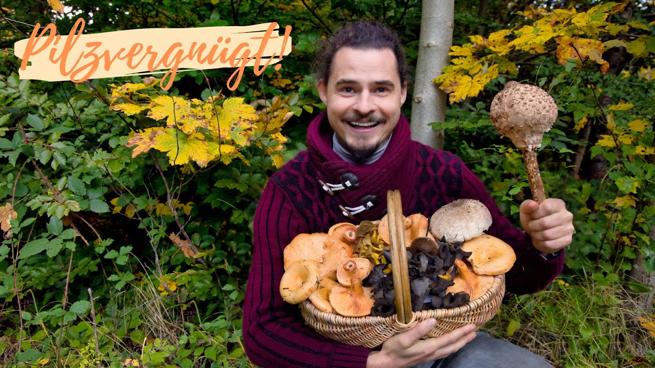 PILZEXPLOSION im goldenen Herbst 2025 🤩 Pfifferlinge, Herbsttrompeten & Reizker in Massen!