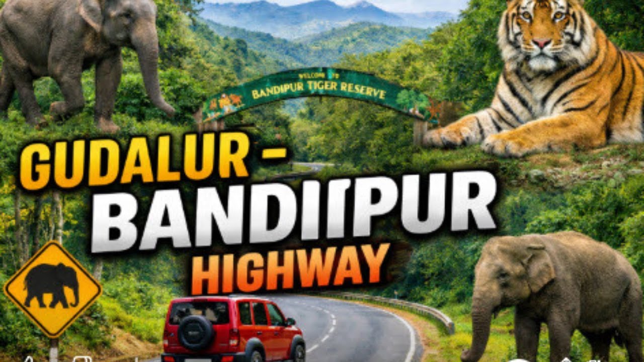 🚗 Gudalur – Bandipur Highway | Scenic Drive Through Western Ghats & Wildlife 🌄🐯