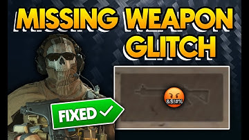 Fix Disappearing Weapon Glitch In Your DMZ Match