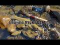 Lures in Motion : Spearhead Ryuki Dart 30S