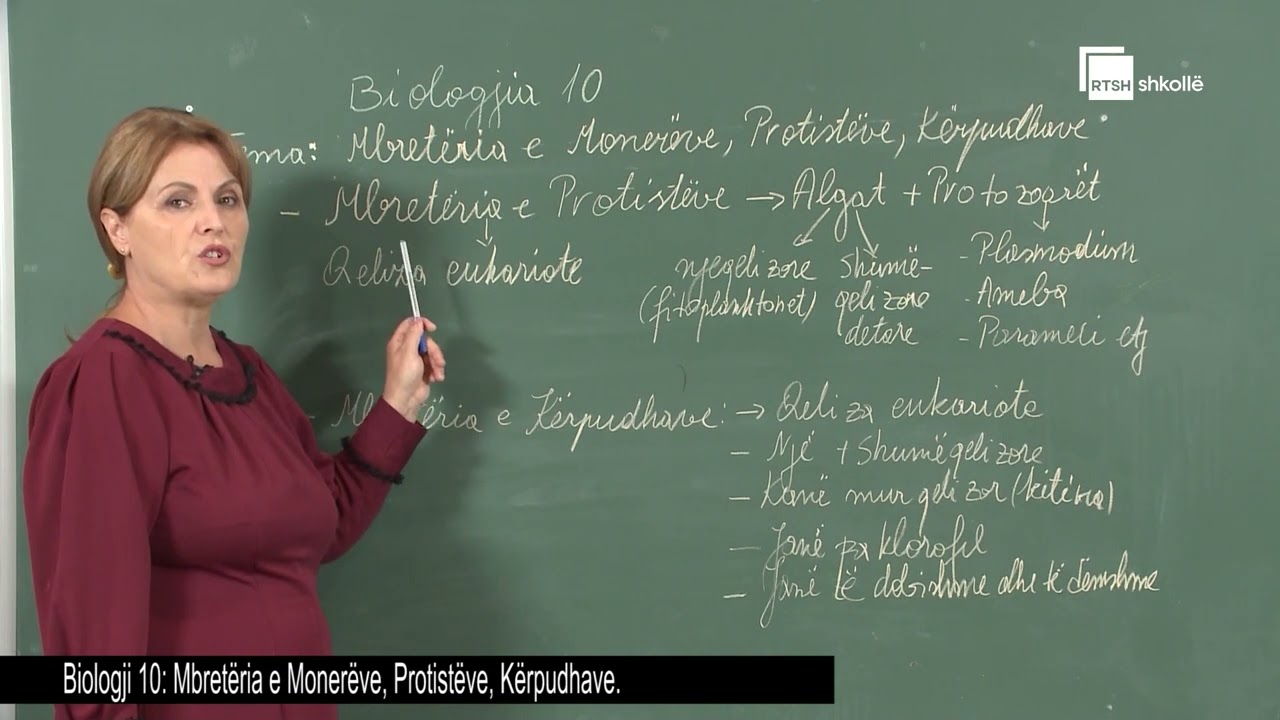 Mbretëria e monerëve, protistët, kërpudhat | Biologji 10