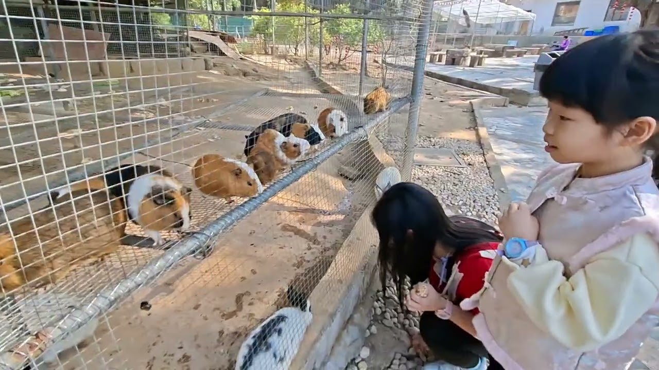 2026年2月18-22日中山、佛山、廣州五天自遊行【4】