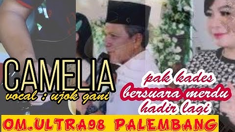 OM.ULTRA98 | CAMELIA | UJOK GANI | Live KOTADARO 2 | Shapa WG