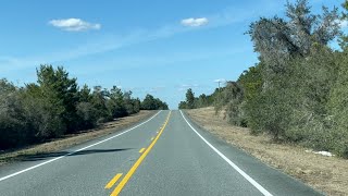 Ocala National Forrest ~ Black Bear Country 2022