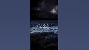 القارئ :- ماهر المعيقلي سورة :- نوح #قران #قران_كريم #quran #ماهرالمعيقلي #سورة_نوح