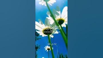 قران كريم ارح قلبك وسمعك #قران_في_دقيقة #quran #رعد_الكردي #قرآن @قران_في_دقيقة