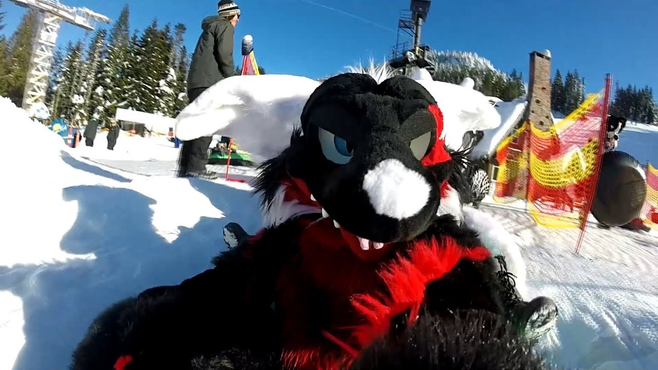 Fursuit Snow Tubing Mt. Hood YouTube