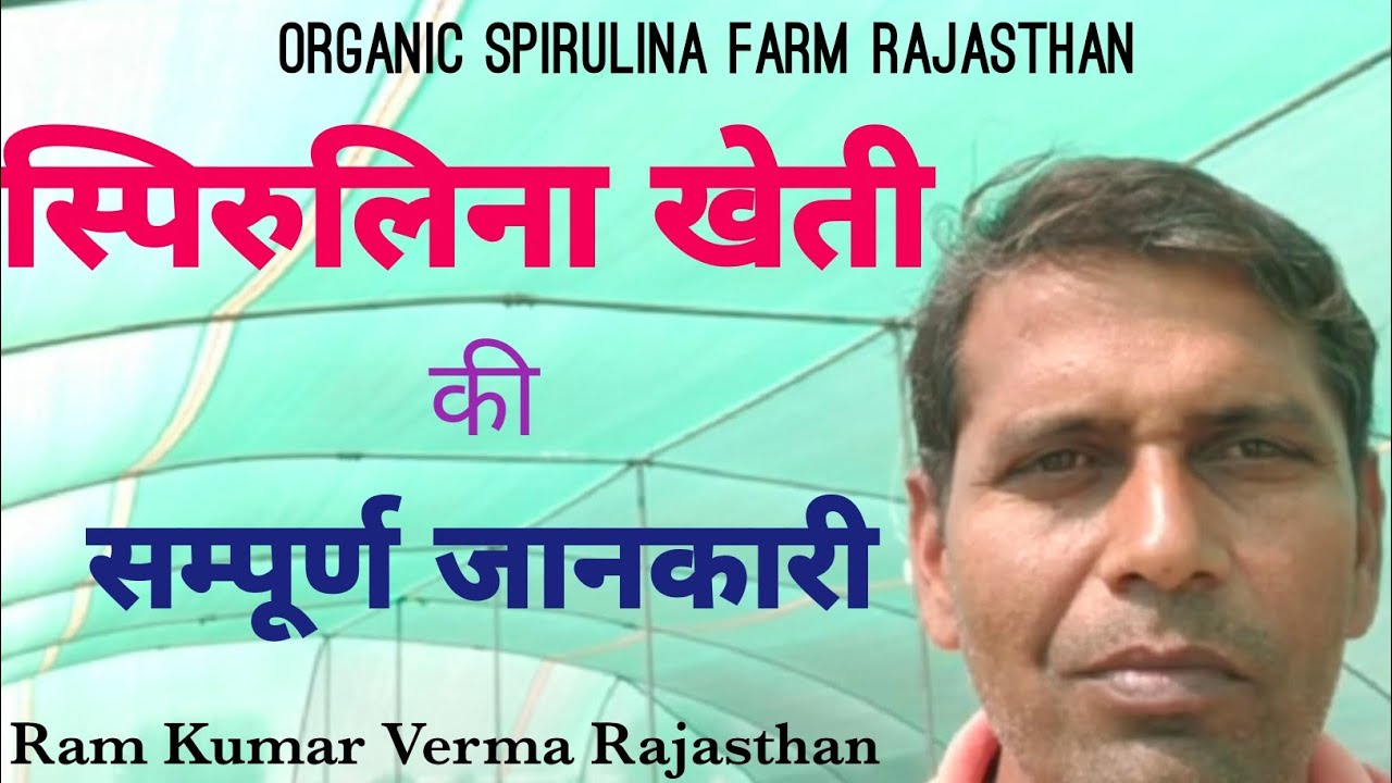 Spirulina farming 🌿 स्पिरुलिना खेती की जानकारी Spirulina cultivation