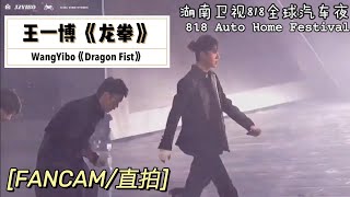 【王一博WangYibo】[FANCAM] 直拍 20200818 《龙拳 Drangon Fist》湖南卫视818全球汽车夜 818 Auto Home Festival