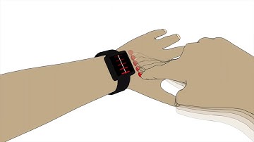 Esquisse: Using 3D Models Staging to Facilitate theCreation of Vector-based Trace Figures