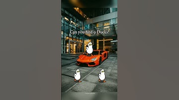 Can you spot 8 ducks within 5 sec!👀🦆#find #shortschallenge #hidden