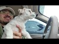 Vlog| Work, coffee