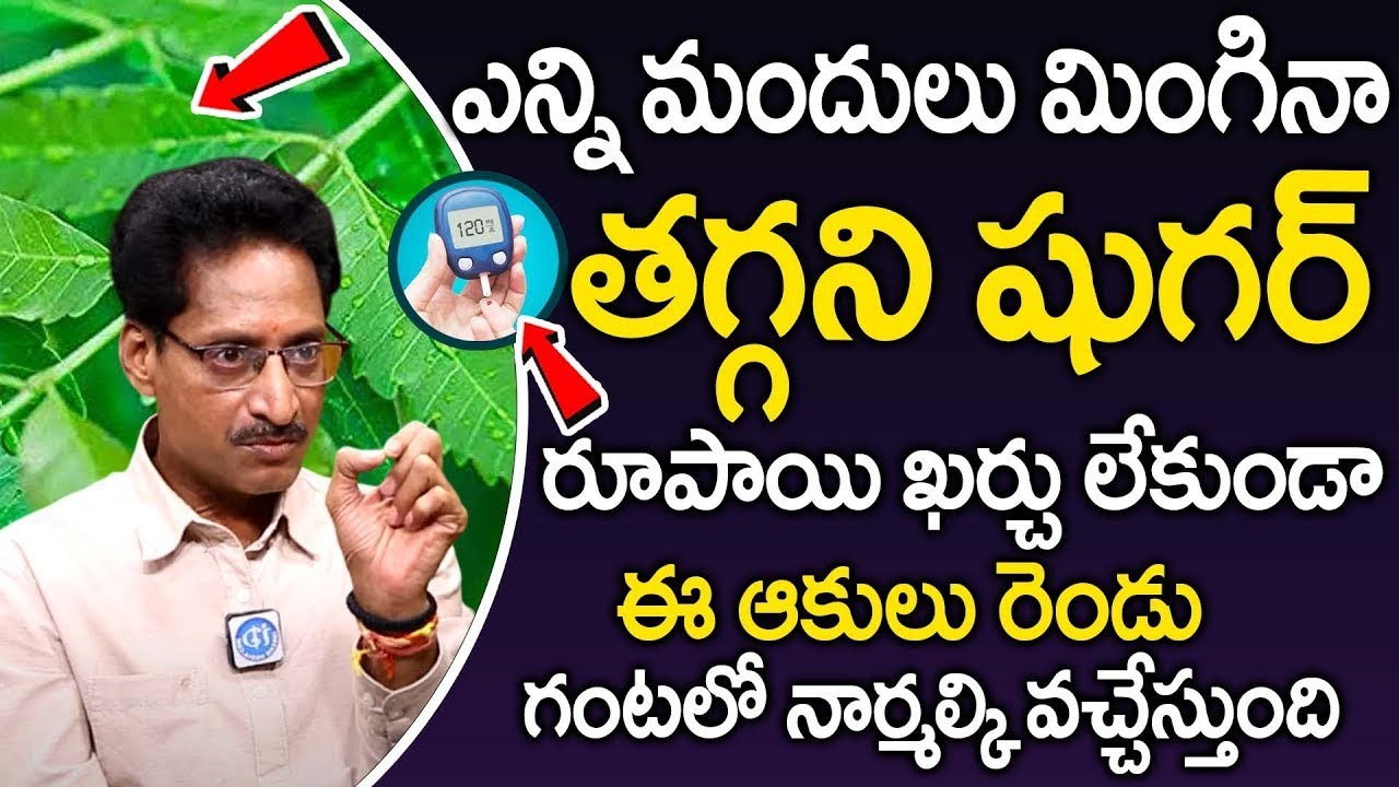 2 ఆకులు తింటే గంటలో షుగర్ నార్మల్ | Say Goodbye to Diabetes | Custard Apple Leaves | Dr. Venugopal
