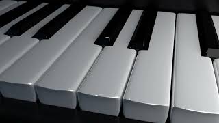 Korg Pa700 Keyboard Set Angel Strings 2