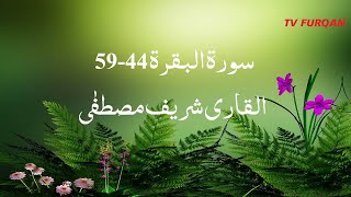 Sharif Mustafa | Surah Al-Baqarah(44-59) سورة البقرة with Urdu/English translation