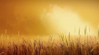 شاهد واسمع صرير الرياح المصاحبة للاعصار ماكونو screenshot 5