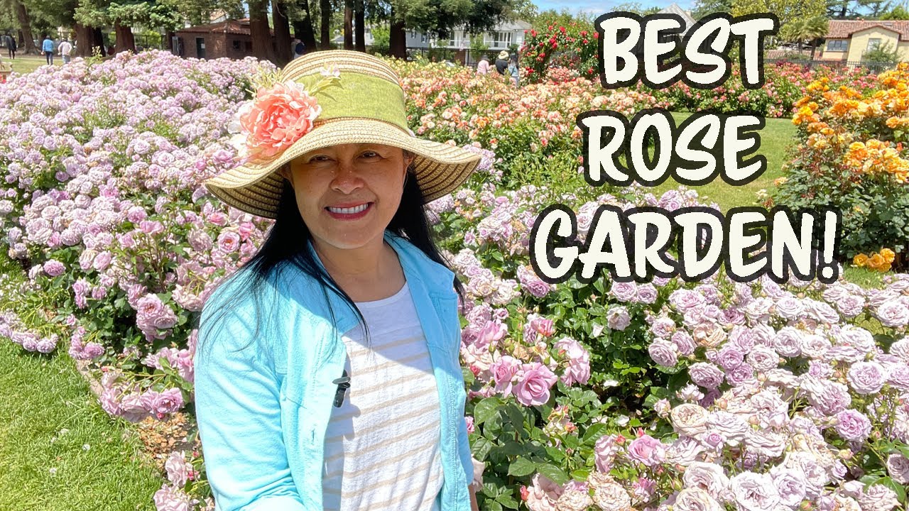 Rose Garden Hours San Jose Rose Garden Hours San Jose