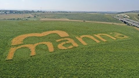 Irrigation Decisions Made Simple