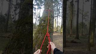 5 узлов для альпинизма и арбористики #arborist #knot #alpinism #climbing