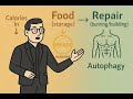 Hormoni, nu calorii: O nouă perspectivă metabolică.
