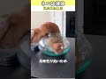 ネコが液体と呼ばれる理由