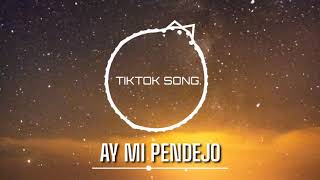 Ay Mi Pendejo (feat. La Niña23)