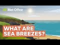 The Science Behind Sea Breezes and Their Formation