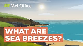 How Does a Sea Breeze Work?