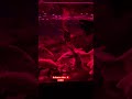 Disco time #happy #koi #fish #fishlovers #shortvideo #shorts #cat #trending