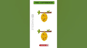 Can You Find 3 Differences #751