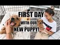 First Day With Our New Puppy!