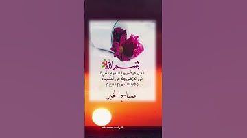 حالات واتس اب دينية🍃أذكار الصباح🌞فيديوهات قصيرة🌹استوريات انستغرام🌺مقاطع تيك توك2022🌿صباح الخيرات