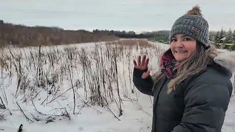 2025 Cut your own Xmas tree