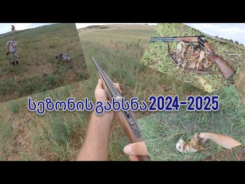 სეზონის გახსნა 2024-2025 - ნადირობა მწყერზე
