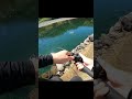 釣りしてて1番つらい瞬間…