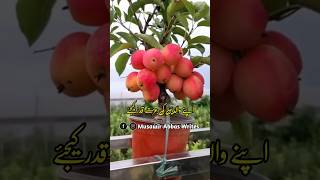 Duniya Main 2 Chezeen Aise Hai Jin Ko Dikna Abadat Hai Aqibhussainhse143