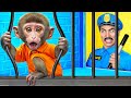 Monkey Escape From Pets Prison By Multi DO Smile Monkey Escape From Pets Prison By Multi DO Smile