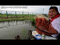 ヘラブナ釣りをするはずが小鮒釣りになっちゃった【埼玉県さいたま市 しらこばと水上公園近くの水路】