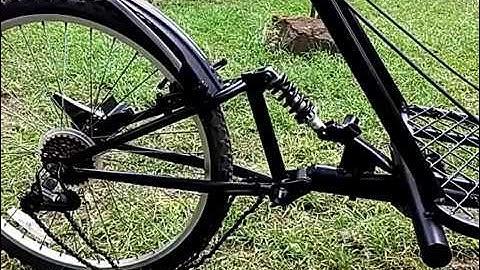 Trike build rev. trike