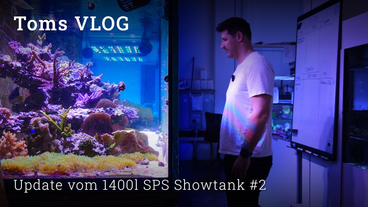 Toms VLog: Update von unserem 1400l Meerwasser Showtank