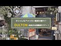 【自由ヶ丘のおすすめ雑貨】話題のアメリカンテイストの雑貨店「DULTON」を丸ごとレポート！