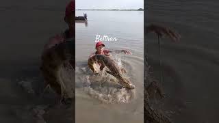 que baina bacana aquí en el río magdalena