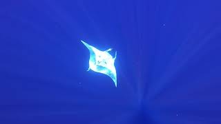 Swimming with an Oceanic manta