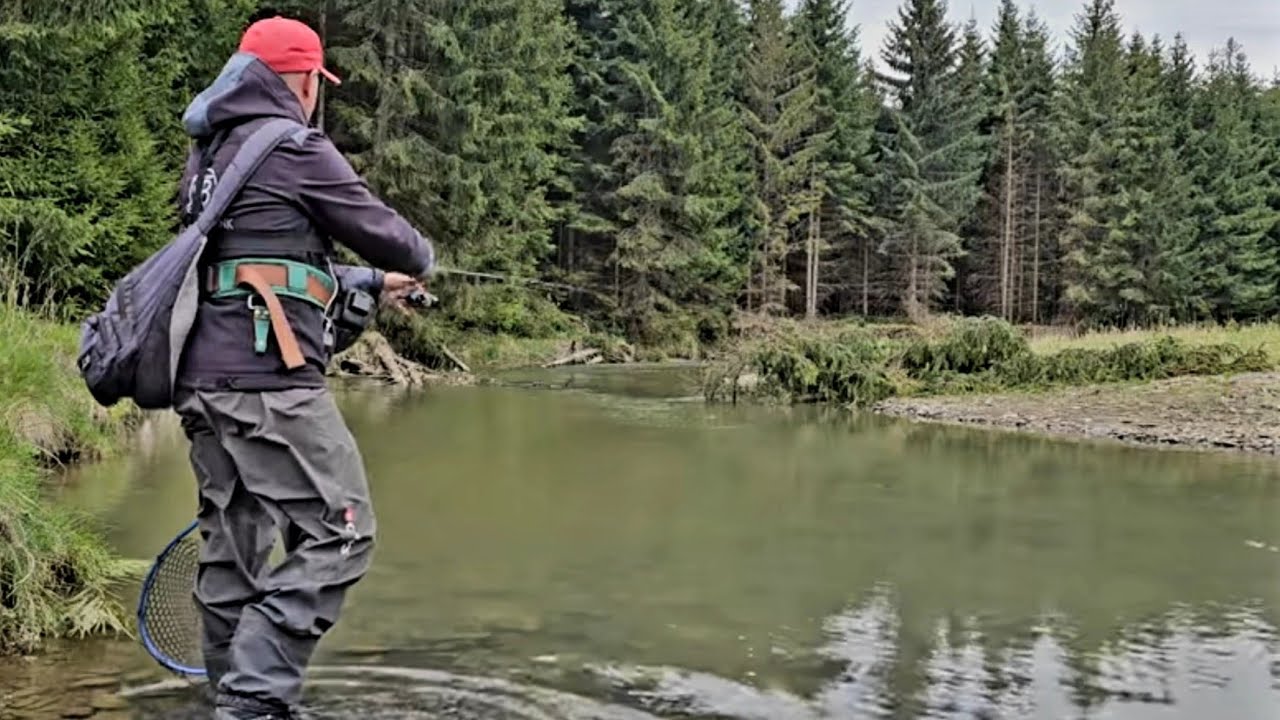 🎣 Am PESCUIT la CLEAN, PĂSTRĂV si LIPAN pe un RÂU EXTRAORDINAR !